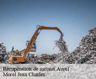 Récupération de métaux  aurel-26340 Morel Jean Charles